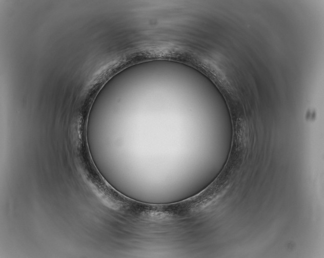 X0000089390590200706221320