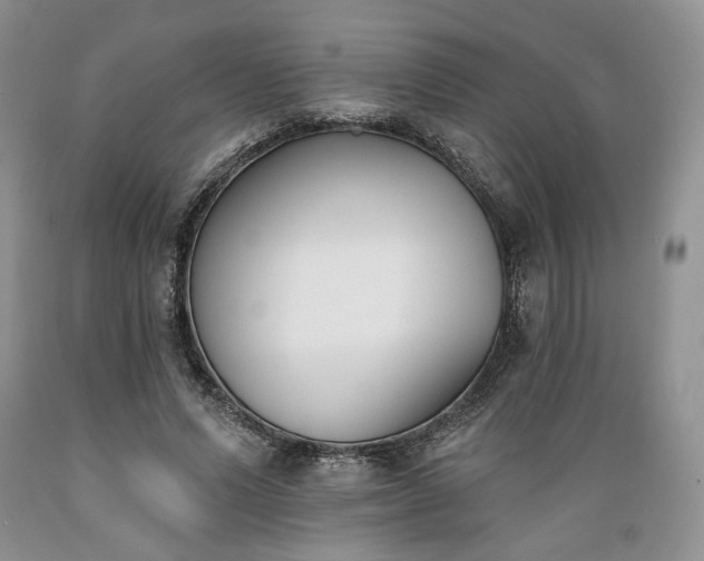 X0000089390591200706221320
