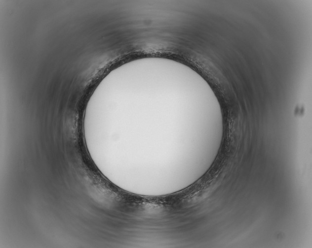 X0000089390592200706221320