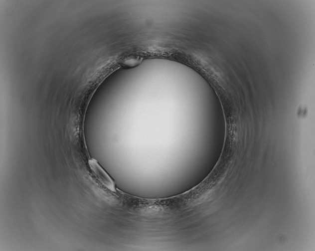 X0000089390593200706221320
