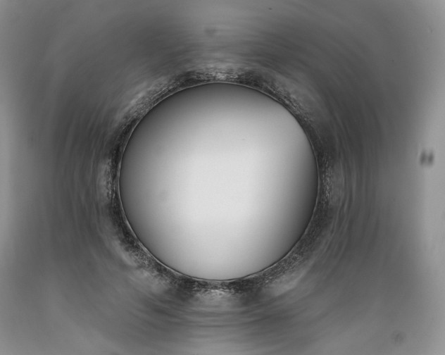 X0000089390594200706221320