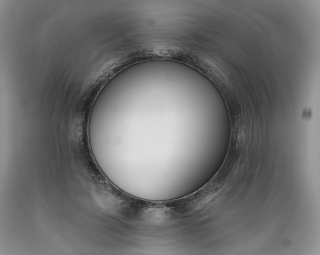 X0000089390595200706221320
