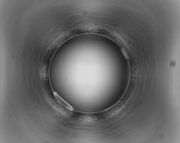 X0000089390597200706221320