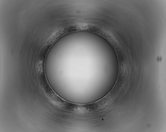 X0000089390598200706221320