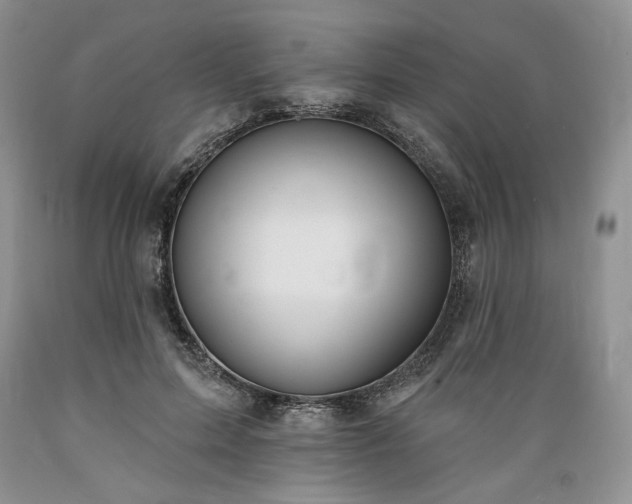 X0000089390599200706221320