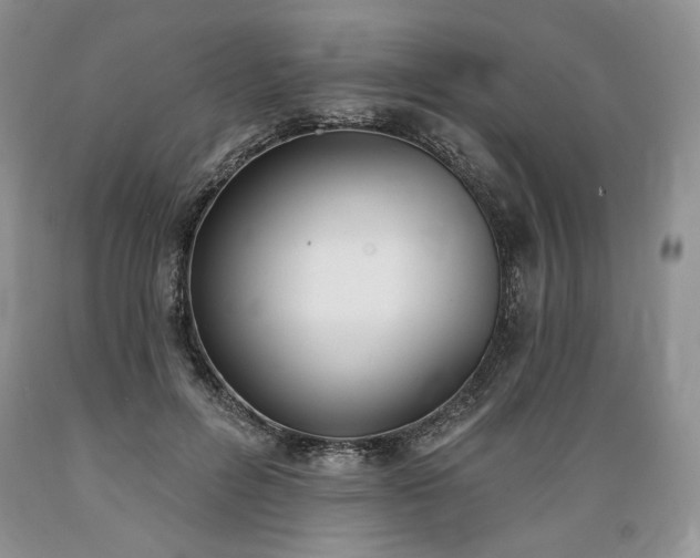 X0000089390600200706221319