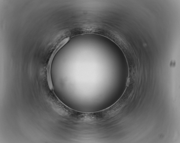 X0000089390601200706221319