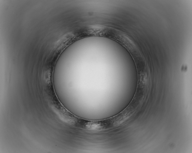 X0000089390602200706221319