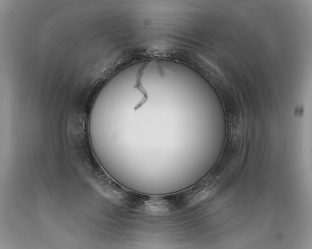 X0000089390603200706221319