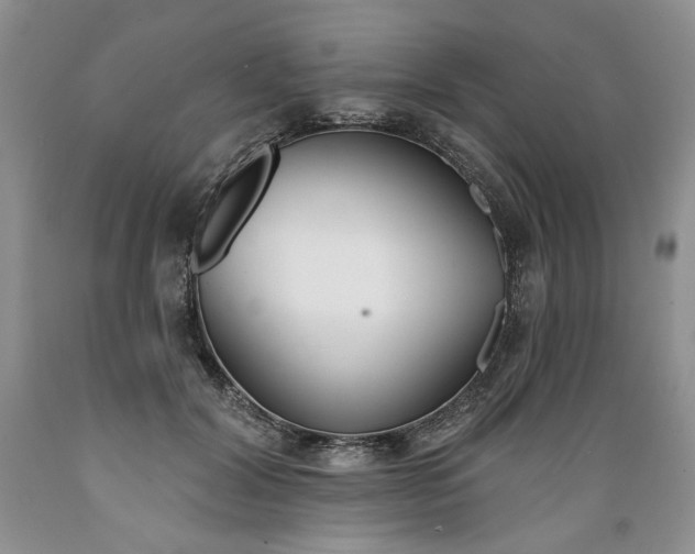 X0000089390604200706221319