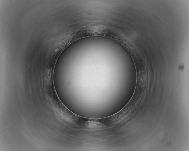 X0000089390605200706221319