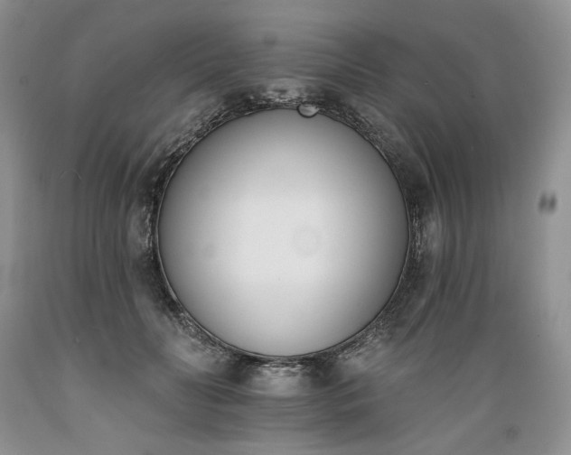 X0000089390606200706221319