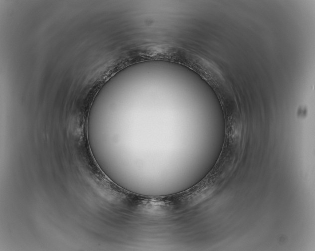 X0000089390607200706221319