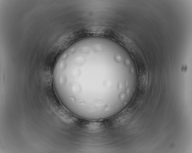 X0000089390609200706221319