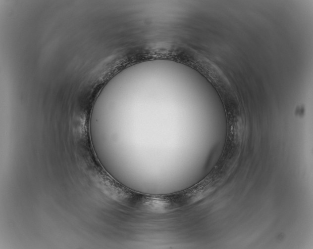 X0000089390610200706221319