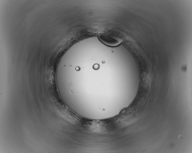 X0000089390612200706221319