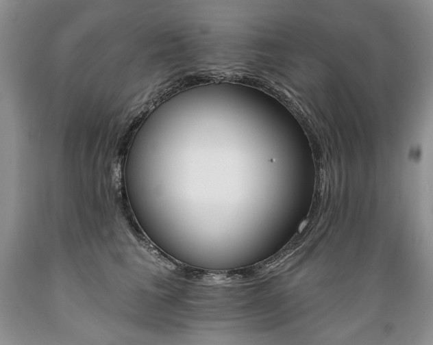 X0000089390613200706221319