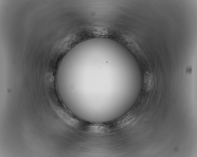 X0000089390614200706221319