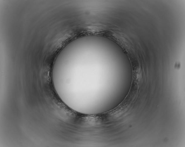 X0000089390615200706221319