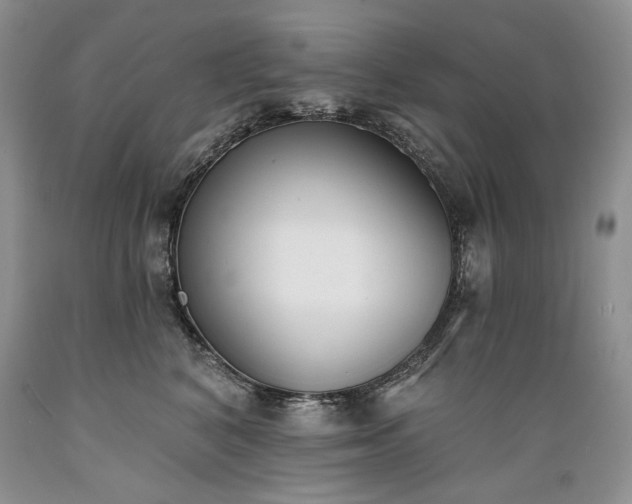 X0000089390616200706221319