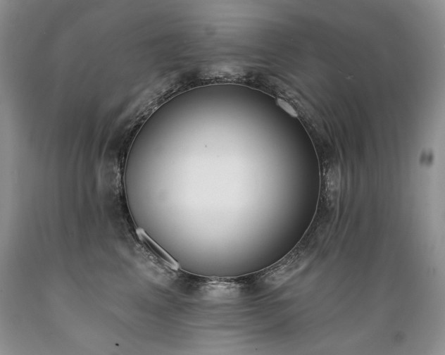 X0000089390617200706221319