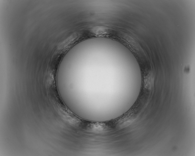 X0000089390618200706221319