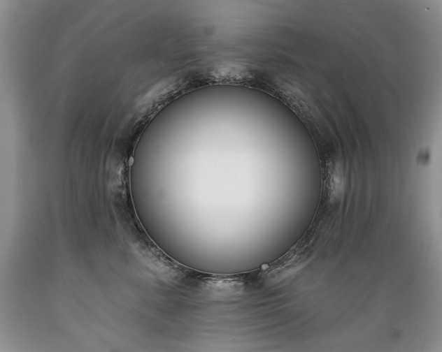 X0000089390619200706221319
