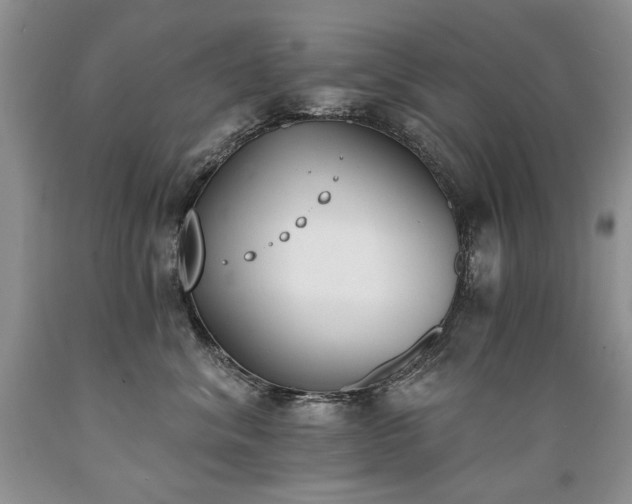 X0000089390620200706221319