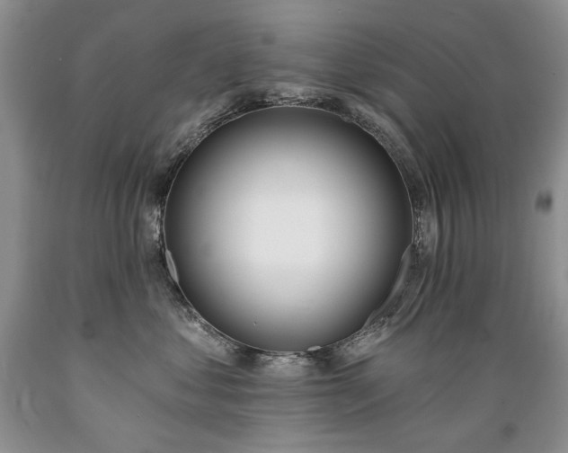 X0000089390621200706221319