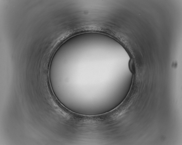 X0000089390625200706221319