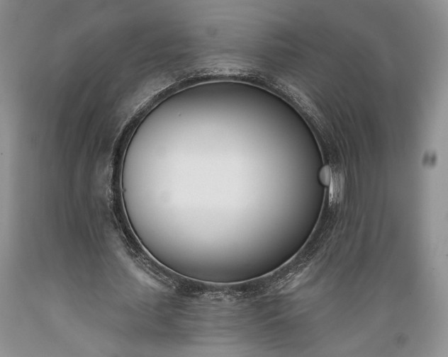 X0000089390627200706221319