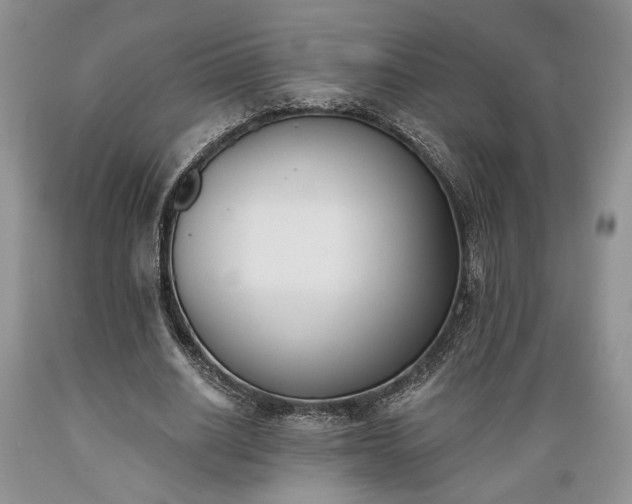 X0000089390630200706221319