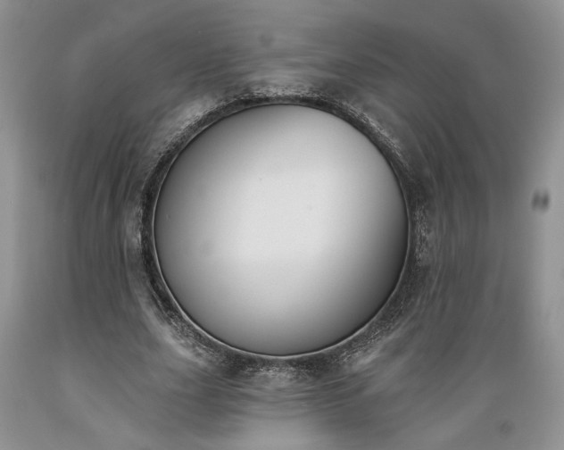 X0000089390631200706221319
