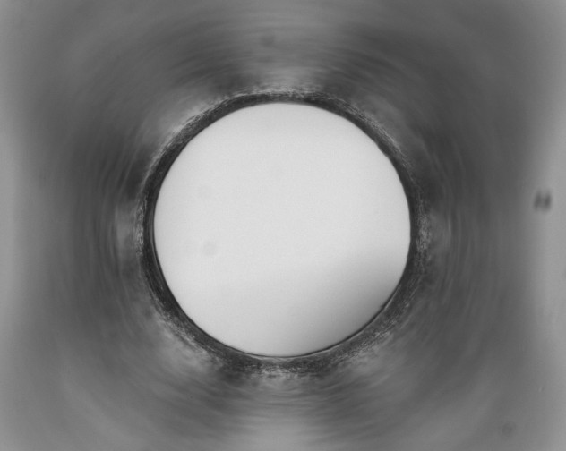 X0000089390632200706221319