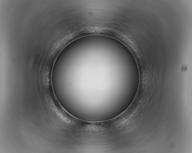 X0000089390633200706221319