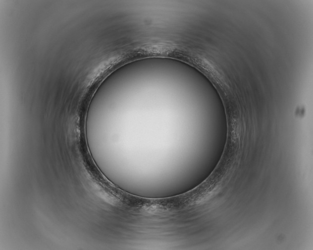 X0000089390634200706221319