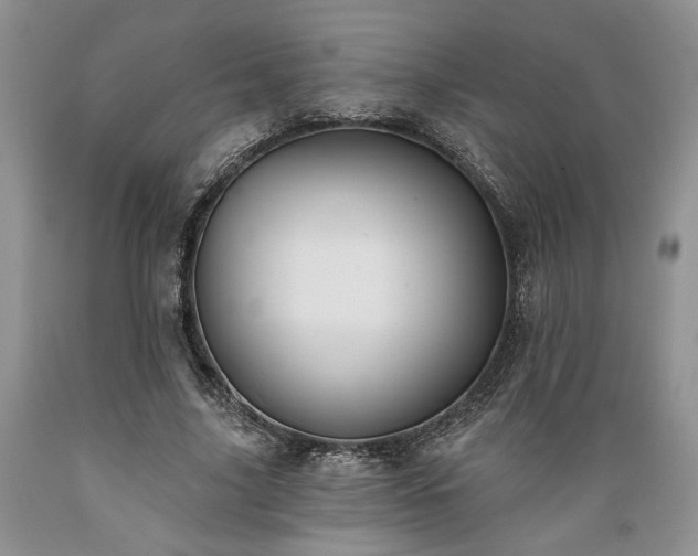 X0000089390635200706221319
