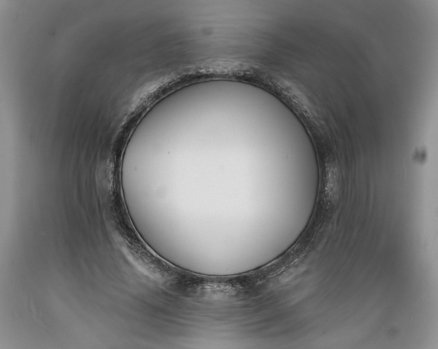 X0000089390636200706221319