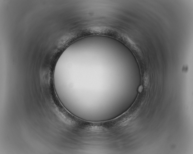 X0000089390637200706221319