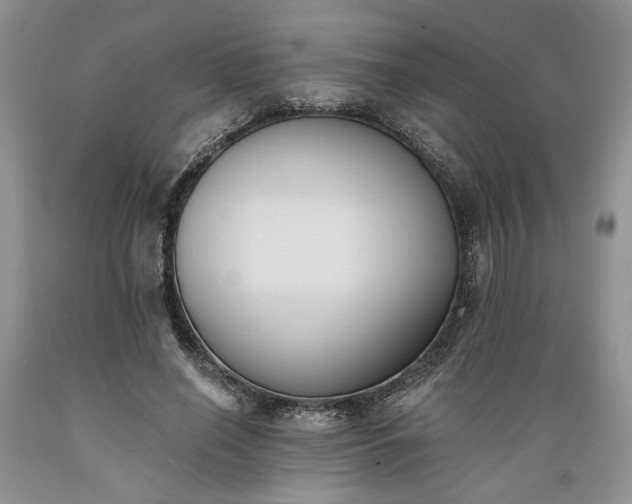 X0000089390638200706221319