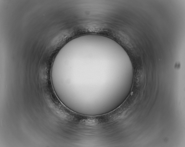 X0000089390639200706221319