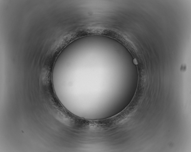 X0000089390641200706221319