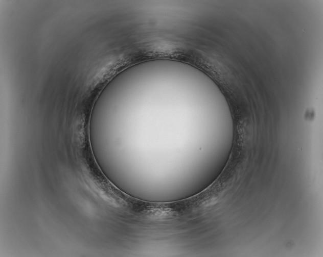 X0000089390642200706221319