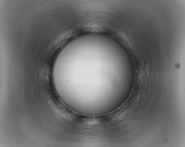 X0000089390643200706221319