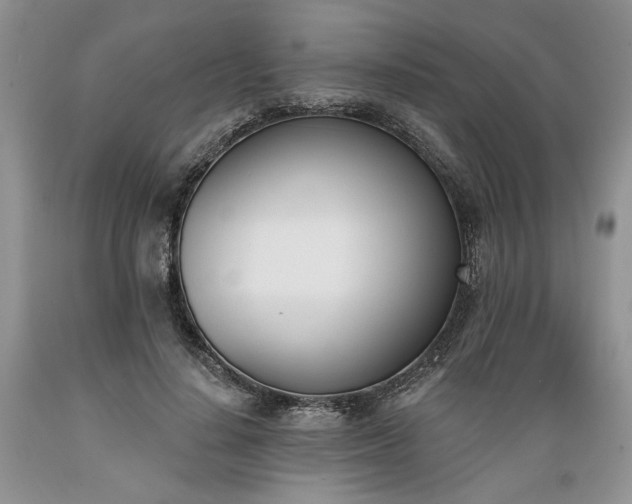 X0000089390644200706221319