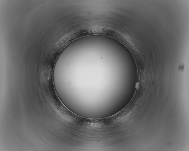 X0000089390645200706221319