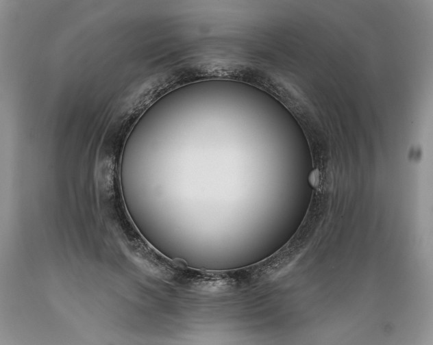 X0000089390646200706221319