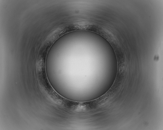 X0000089390647200706221319