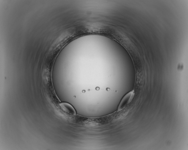 X0000089390648200706221319