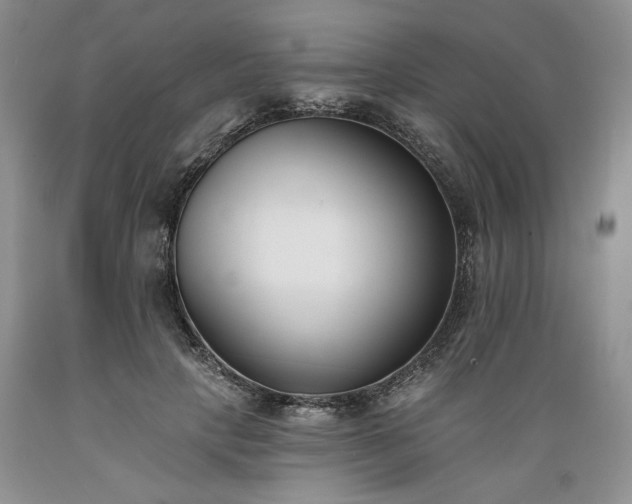 X0000089390649200706221319